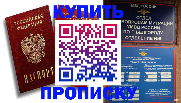 прописка иностранных граждан в Ингушетии
